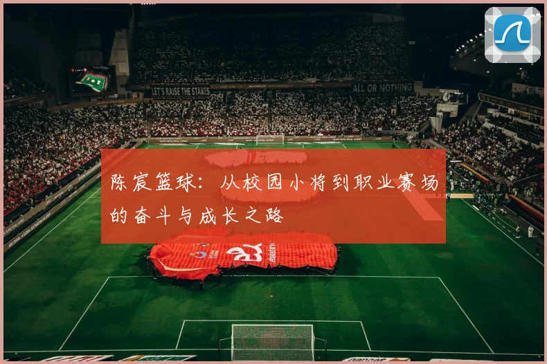 陈宸篮球：从校园小将到职业赛场的奋斗与成长之路