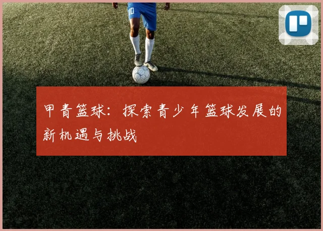 甲青篮球：探索青少年篮球发展的新机遇与挑战