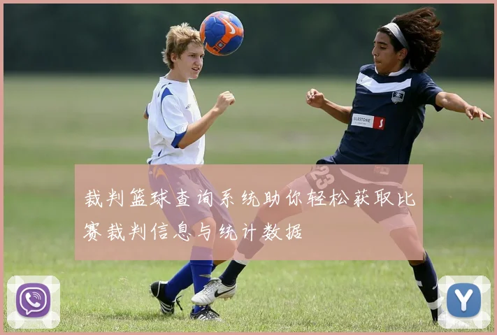 裁判篮球查询系统助你轻松获取比赛裁判信息与统计数据